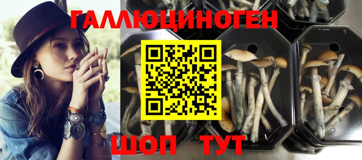 Псилоцибиновые грибы ЛСД  Галлюциногенные грибы Psilocybe  Вход с VPN  наркотики  Красноармейск 